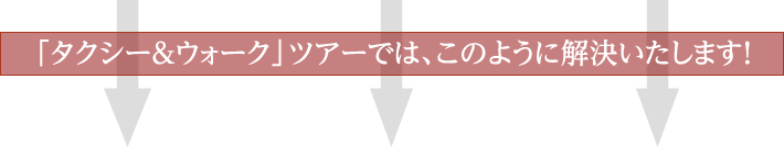 「タクシー＆ウォーク」ツアーでは、このように解決いたします！