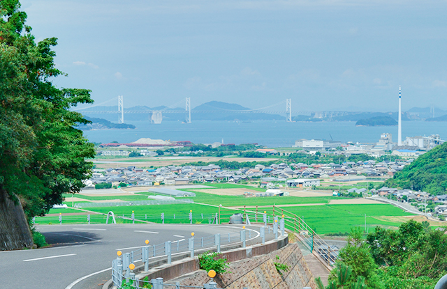 白峰からの景色