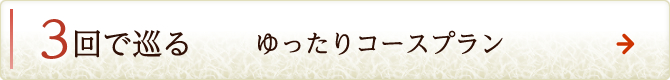 3回で巡る ゆったりコースプラン